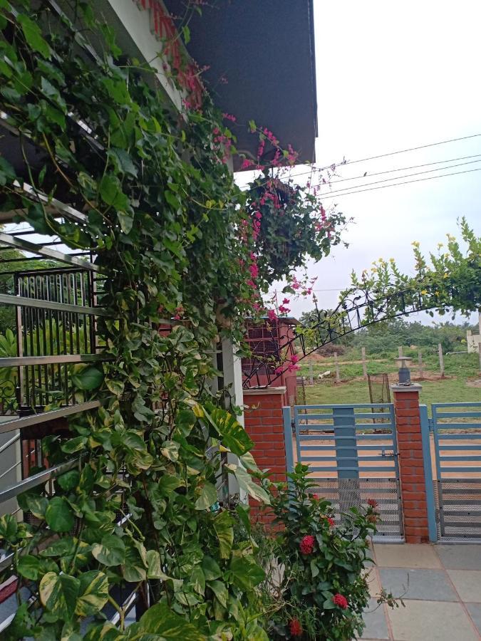 Mango Tree Homestay 함피 외부 사진
