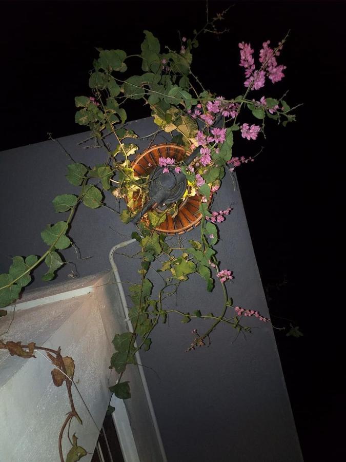 Mango Tree Homestay 함피 외부 사진
