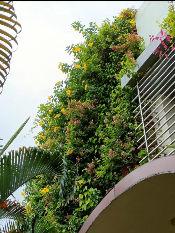 Mango Tree Homestay 함피 외부 사진