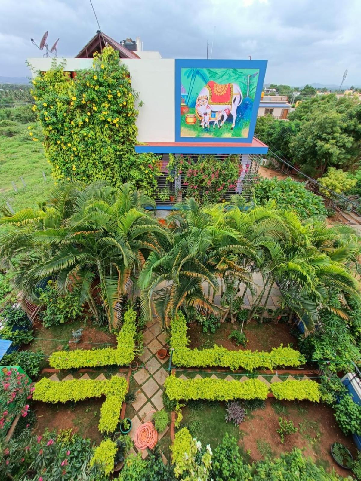 Mango Tree Homestay 함피 외부 사진